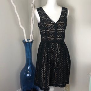 Ann Taylor LOFT Dress
